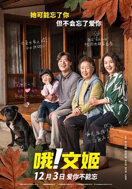 高清蓝光在线观看