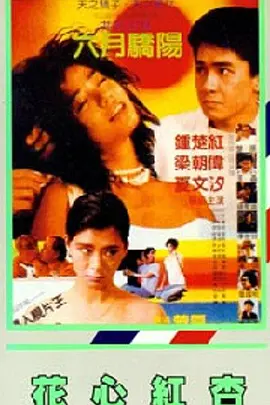 蓝光原盘在线观看