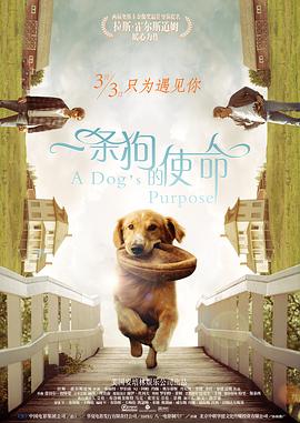 他在片中饰演认知水平停留在孩童时期的角色吴优，颠覆以往银幕形象。