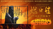 完结高清影视