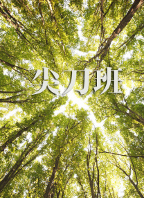 全集已更新国语版