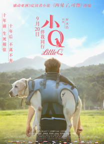 完结完整版观看
