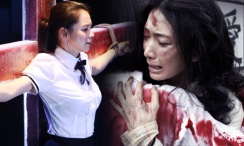 完结高清影视
